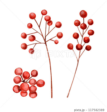 Composition of watercolor illustration with red berries and branches of red berries, Christmas set of hand drawn illustration 117582389