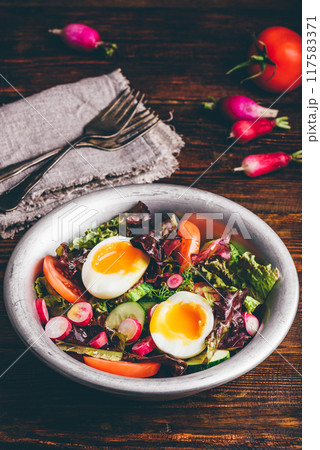 Fresh spring salad with homegrown vegetables and boiled eggs 117583371