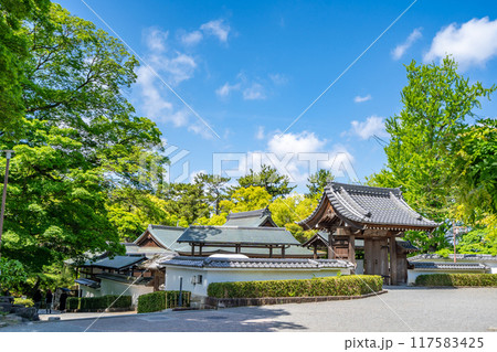 岡崎城　二の丸能楽堂　能を愛した徳川家康　本格的な屋外能楽堂 117583425