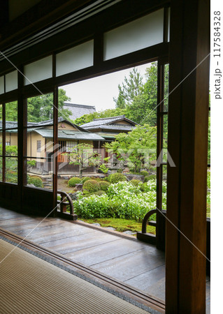 半夏生の色づく庭園 半夏生の色づく庭園 117584328