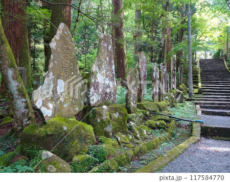 曹洞宗 大雄山最乗寺(神奈川県南足柄市大雄町) 曹洞宗 大雄山最乗寺(神奈川県南足柄市大雄町) 117584770
