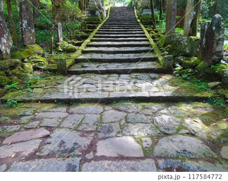 曹洞宗 大雄山最乗寺（神奈川県南足柄市大雄町） 117584772