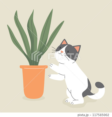 Cute Cartoon Flat Vector Cat Reaching for a Potted Sansevieria Plant. Vector Illustration for Cat Lovers. Pet Kitten Home Life Design Template 117585002