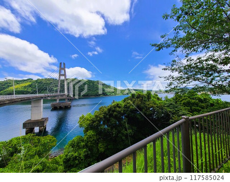 伊唐大橋とその周辺の風景　伊唐島　長島町　出水郡　鹿児島県 117585024