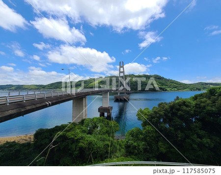 伊唐大橋とその周辺の風景　伊唐島　長島町　出水郡　鹿児島県 117585075