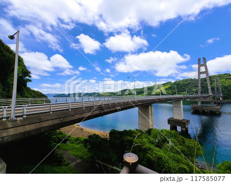 伊唐大橋とその周辺の風景　伊唐島　長島町　出水郡　鹿児島県 117585077
