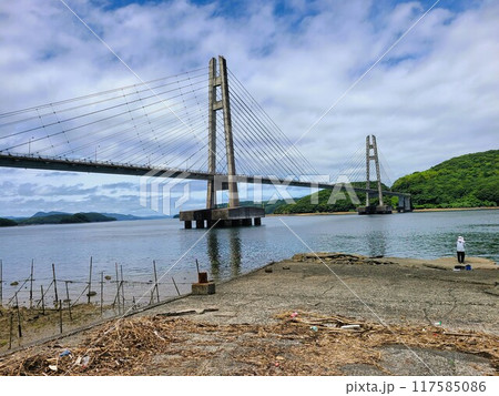 伊唐大橋とその周辺の風景　伊唐島　長島町　出水郡　鹿児島県 117585086