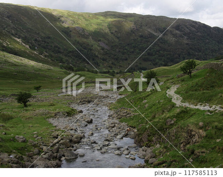 イギリス・湖水地方(セスウェイト)の風景 イギリス・湖水地方(セスウェイト)の風景 117585113