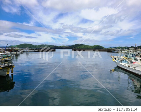 伊唐大橋とその周辺の風景　伊唐島　長島町　出水郡　鹿児島県 117585114