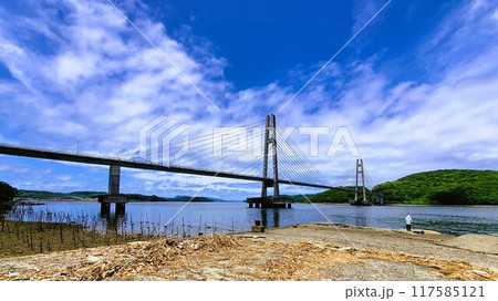 伊唐大橋とその周辺の風景　伊唐島　長島町　出水郡　鹿児島県 117585121
