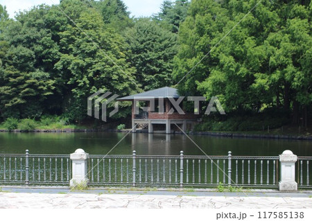 栃木県中央公園 117585138