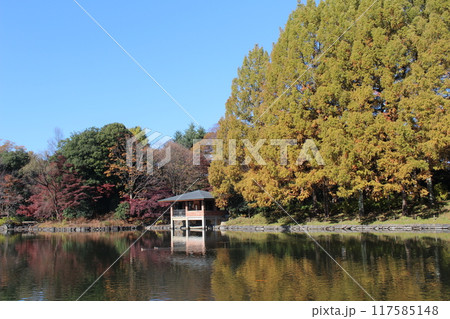 栃木県中央公園 栃木県中央公園 117585148