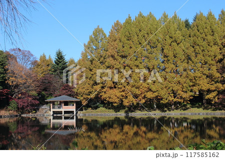 栃木県中央公園 117585162