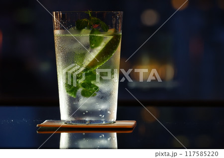 バーのカクテル　ジントニック 117585220