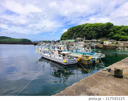宮之浦港とその周辺の風景　長島町　出水郡　鹿児島県 117585225