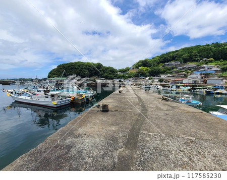 宮之浦港とその周辺の風景　長島町　出水郡　鹿児島県 117585230