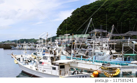 宮之浦港とその周辺の風景　長島町　出水郡　鹿児島県 117585241