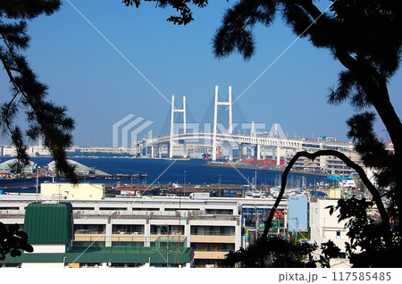 港が見える公園から望む横浜ベイブリッジ 港が見える公園から望む横浜ベイブリッジ 117585485