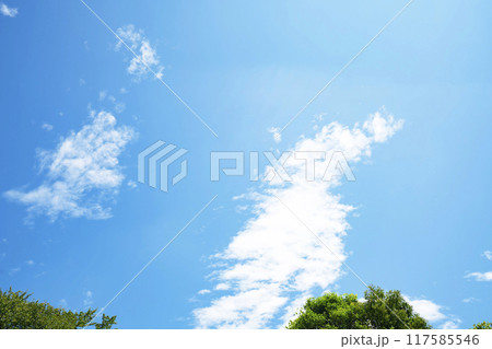 夏の雲と木立 117585546