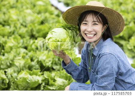 収穫した野菜を持つ女性 収穫した野菜を持つ女性 117585703