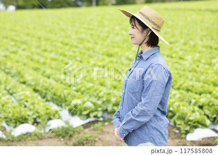 レタス畑の前に立つ女性 レタス畑の前に立つ女性 117585808
