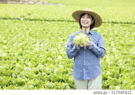 収穫した野菜を持つ女性 117585811