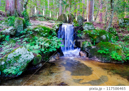 妙見の滝 117586465