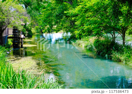 2本の川 117586473