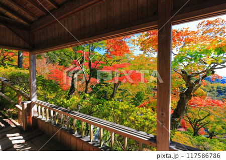 【佐賀県】晴天の大興善寺の紅葉 117586786