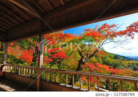 【佐賀県】晴天の大興善寺の紅葉 【佐賀県】晴天の大興善寺の紅葉 117586789