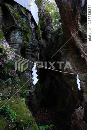 阿豆佐和気神社の大クス 117586844