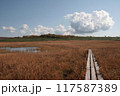 雨竜湿原7 117587389