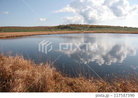 雨竜湿原8 117587390