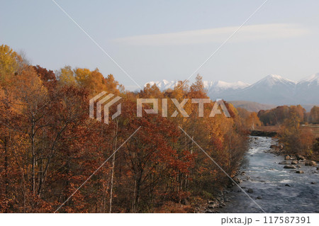 美瑛の丘1 美瑛の丘1 117587391