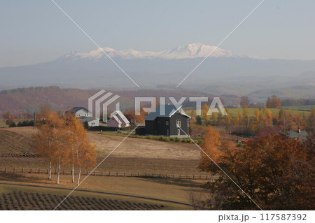 美瑛の丘2 117587392