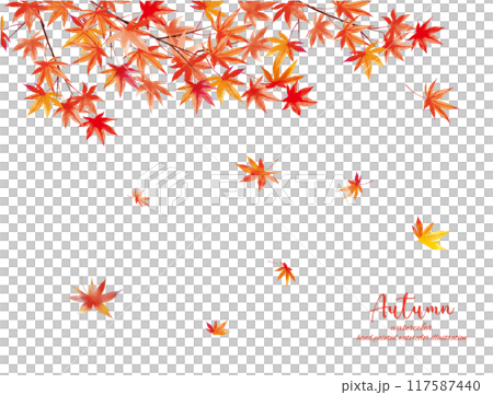 水彩畫秋葉插畫向量框架 117587440