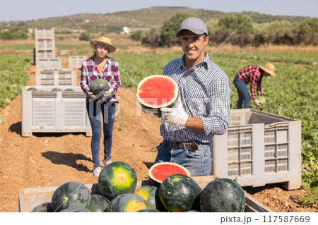 Man with half of watermelon on fruit farm 117587669