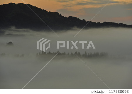 霧が漂う春の星峠朝景 117588098