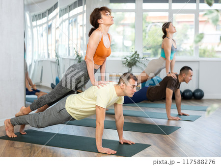 Lovers of active lifestyle perform pair yoga double upward facing dog in gym Lovers of active lifestyle perform pair yoga double upward facing dog in gym 117588276