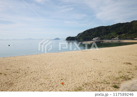 片添ヶ浜 117589246