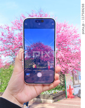 花の写真を撮る人 花の写真を撮る人 117589288