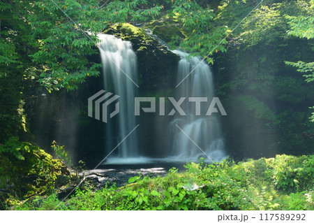 山梨県富士吉田市上吉田 桂川に架かる二条の滝 光芒のなかの鐘山の滝スローシャッター撮影 山梨県富士吉田市上吉田 桂川に架かる二条の滝 光芒のなかの鐘山の滝スローシャッター撮影 117589292