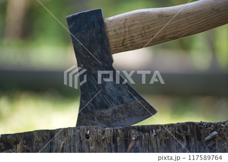 Close-up of an axe embedded in a tree stump beside nature and the outdoors 117589764