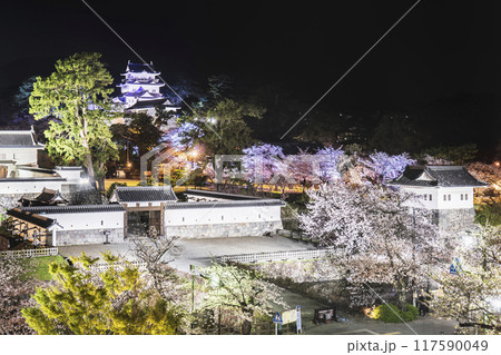 小田原城址公園の夜景 ライトアップされた小田原城と桜【神奈川県・小田原市】 小田原城址公園の夜景 ライトアップされた小田原城と桜【神奈川県・小田原市】 117590049