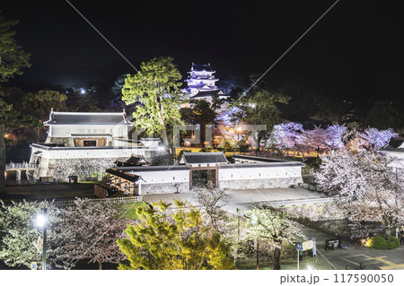 小田原城址公園の夜景　ライトアップされた小田原城と桜【神奈川県・小田原市】 117590050