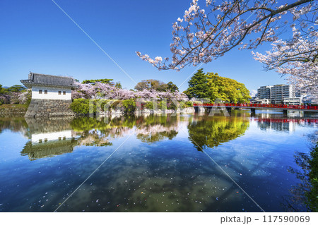 春の小田原城址公園、桜咲くお堀の風景【神奈川県・小田原市】 春の小田原城址公園、桜咲くお堀の風景【神奈川県・小田原市】 117590069