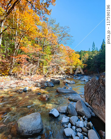 赤沢渓谷（秋） 117590196