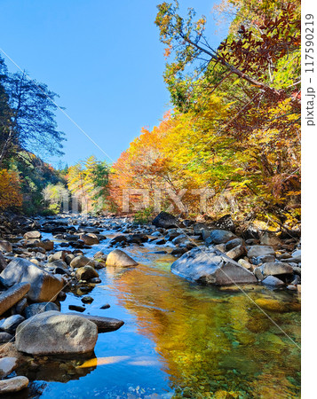 赤沢渓谷（秋） 117590219