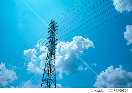 夏の青空に見上げる送電線鉄塔　ライトカラー 117590435