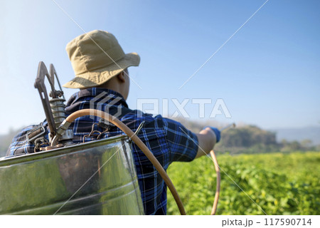 A man in a blue shirt and hat is spraying a field of green plants A man in a blue shirt and hat is spraying a field of green plants 117590714